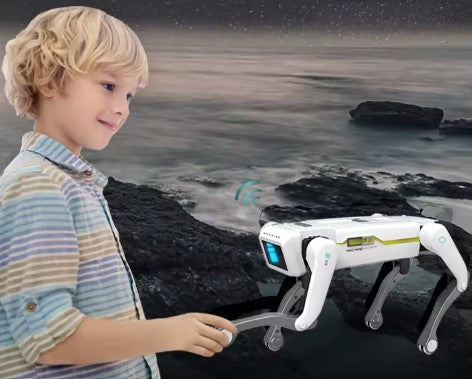 Robot perro multifunción RC